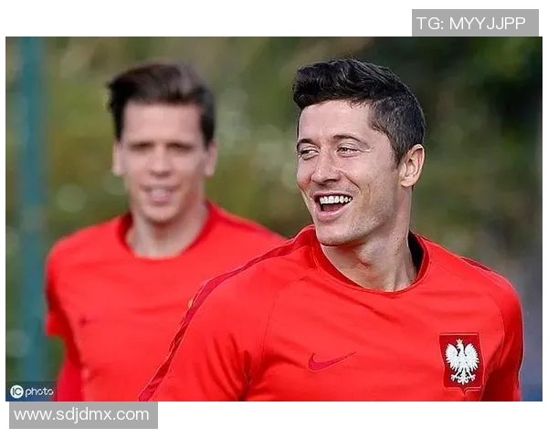 乌克兰与波兰亚盘分析及比赛前瞻全面解读